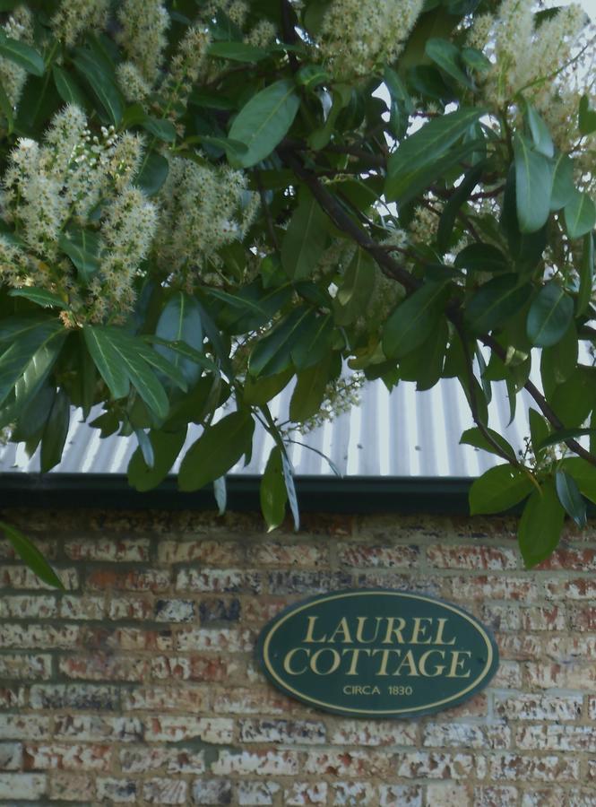 Laurel Cottage Richmond Exterior foto